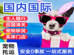南通兴东机场快递国际宠物托运 【国